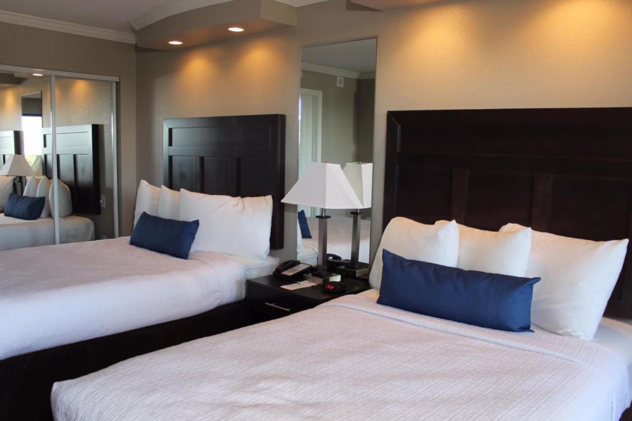 Paradise Found Oceanfront Condo شاطئ ميرتل المظهر الخارجي الصورة