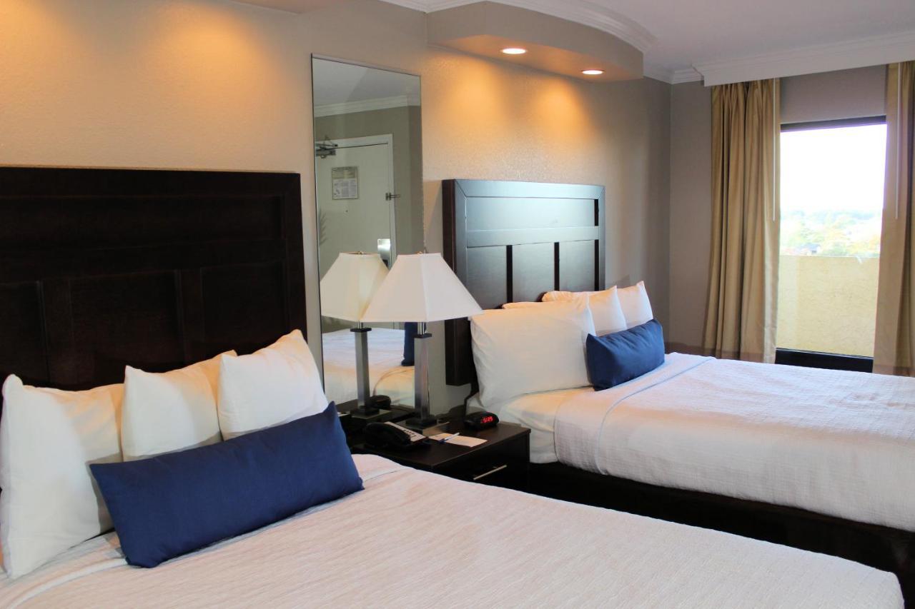 Paradise Found Oceanfront Condo شاطئ ميرتل المظهر الخارجي الصورة